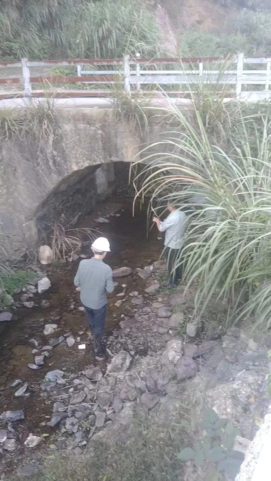 石臺(tái)縣仙寓鎮(zhèn)危橋鑒定檢測